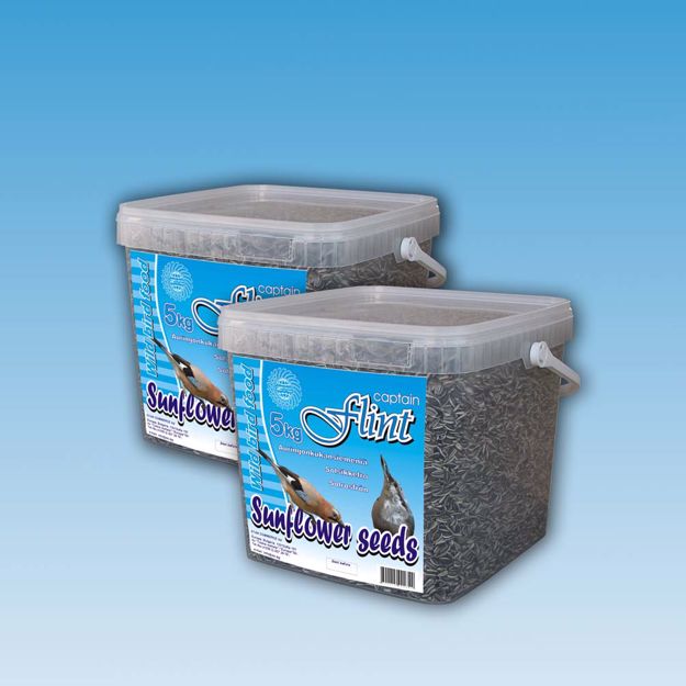 Picture of 5kg solrosfrö hink
